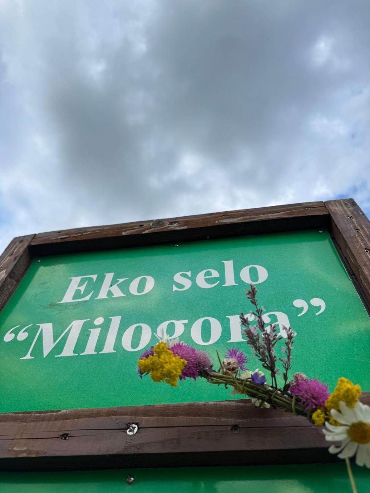 Etno Selo - Guest House Etno Village - Trsa 普卢日内 外观 照片